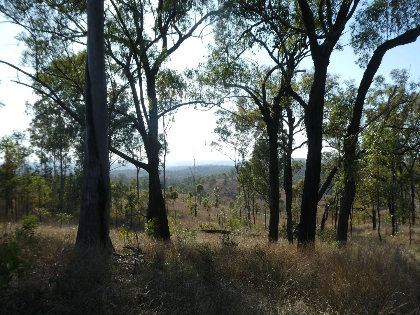 Additional image 11 of Lot 14 Monto Mount Perry Road, Mungy QLD 4671