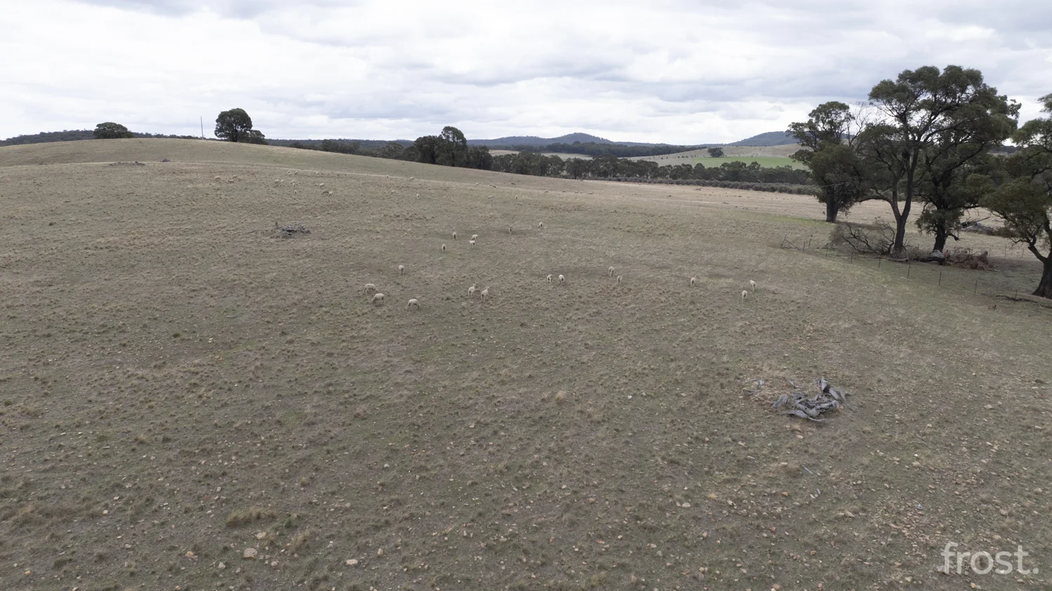 Additional image 57 of 3684 Heathcote-Nagambie Road, Mitchellstown VIC 3608