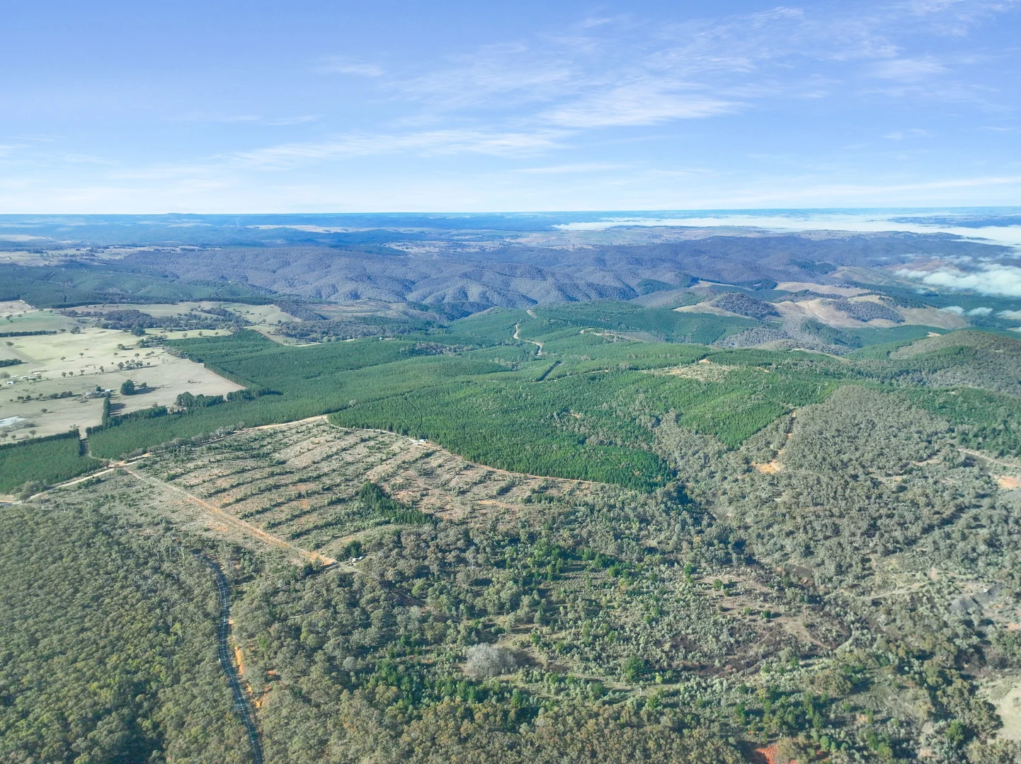 Additional image 5 of 3653 Arkstone Road, Burraga NSW 2795