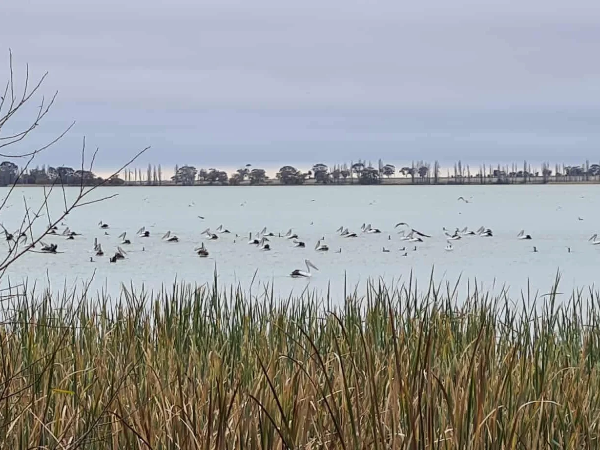 Additional image 4 of 380 Gorton Drive, Mystic Park VIC 3579