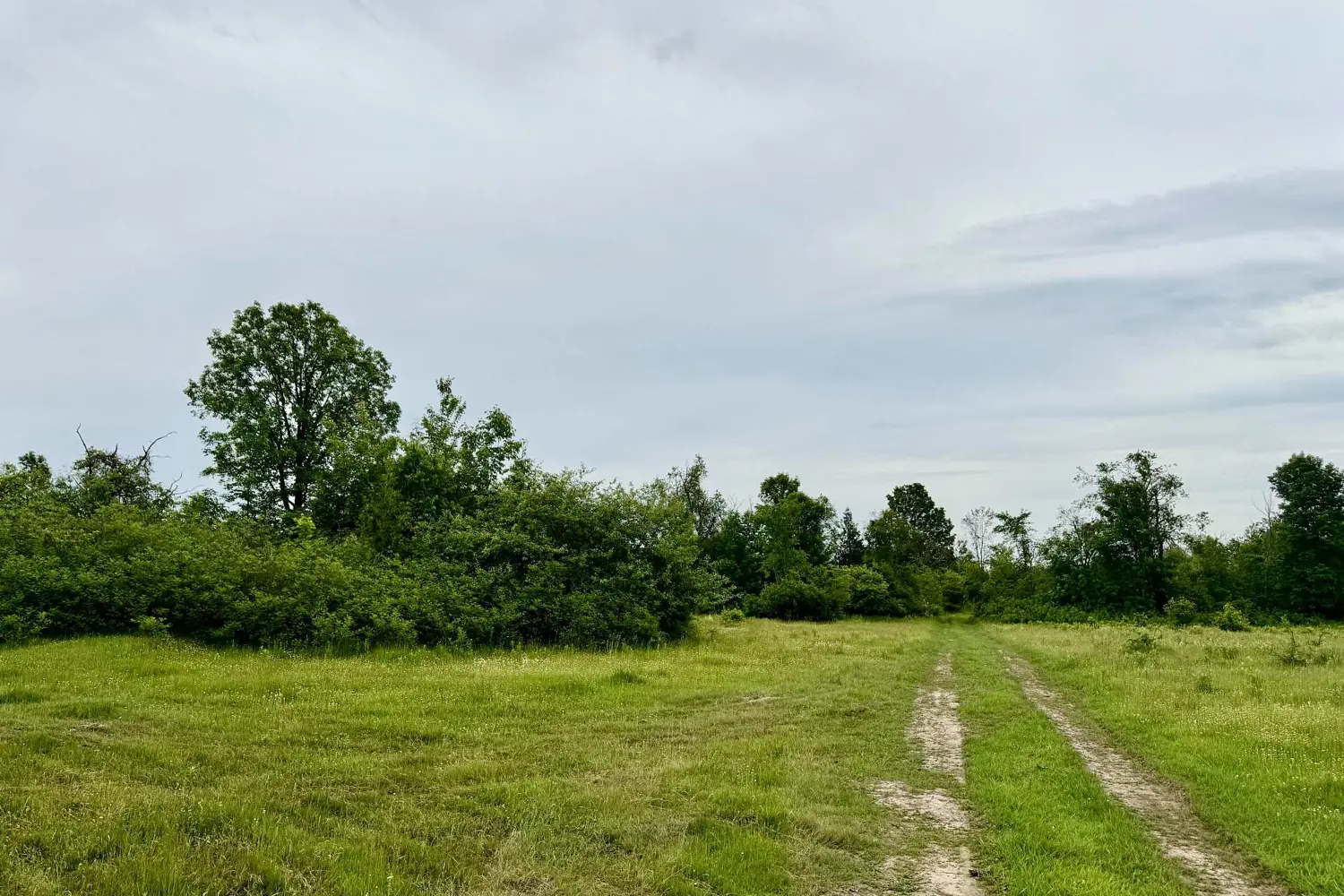 Additional image 13 of 00 Cooper Road