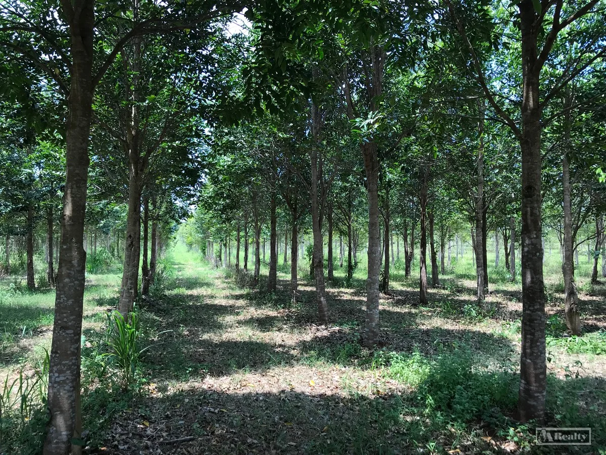 Additional image 3 of L15 Broccardo Road, Garradunga QLD 4860