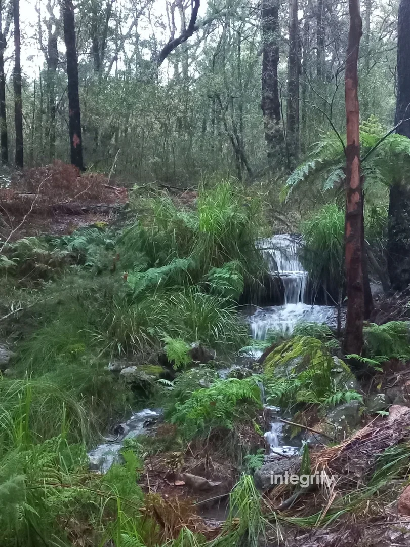 Additional image 18 of 67 Riversdale Road, Tapitallee NSW 2540