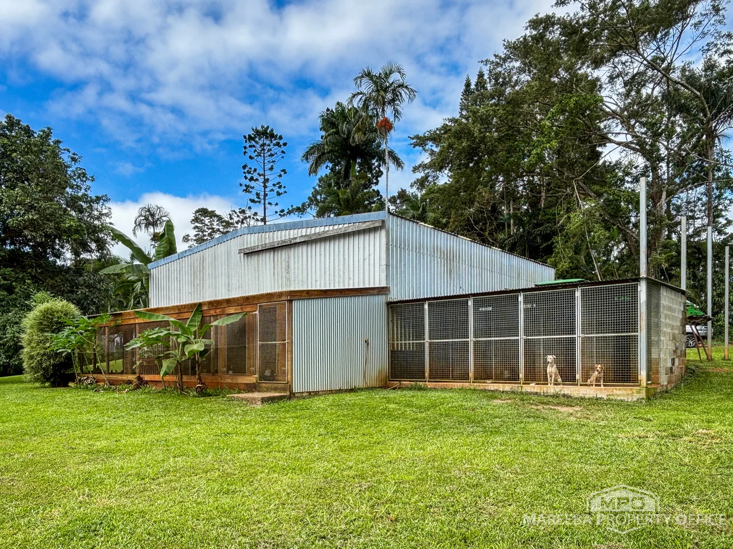 Additional image 21 of 1000 Mossman Mount Molloy Road, Julatten QLD 4871