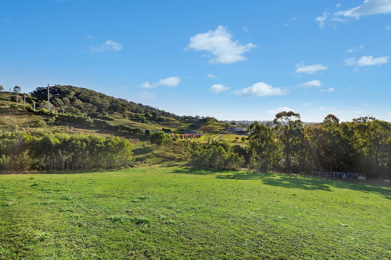 Additional image 6 of 276 Carrolls Road, Menangle NSW 2568