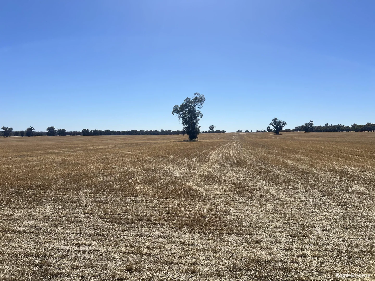 Additional image 13 of 124 Highbury East Road, Highbury WA 6313