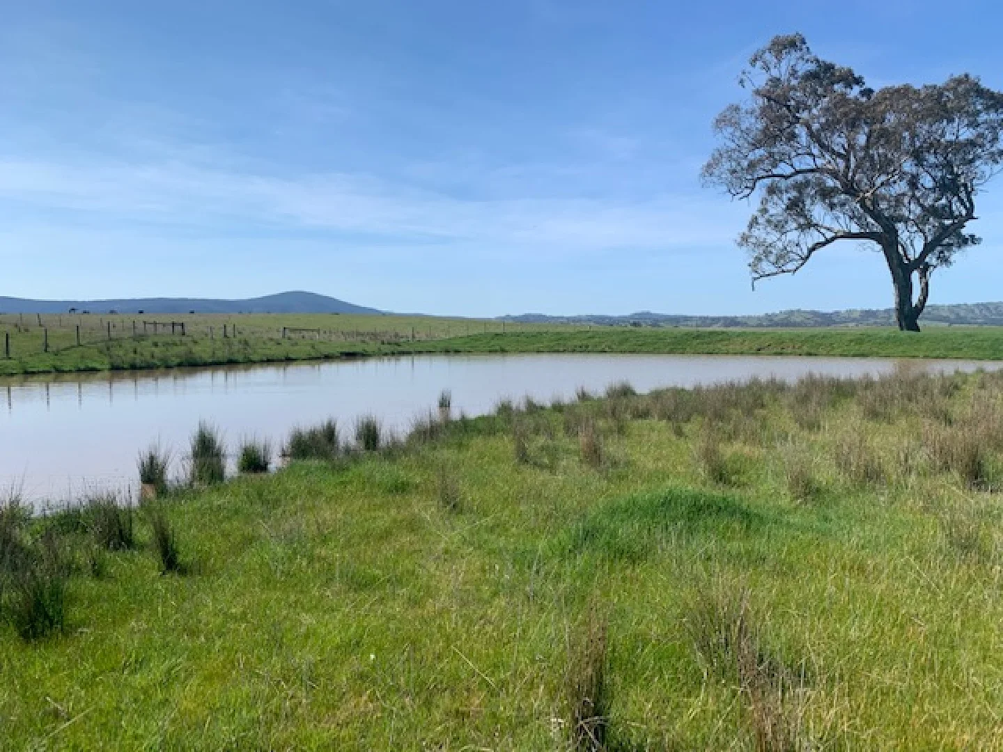 Additional image 11 of 105 Broadford Glenaroua Road, Broadford VIC 3658