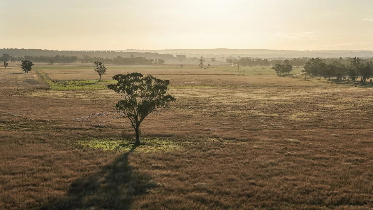 Additional image 50 of 3761 Neilrex Road, Neilrex NSW 2831