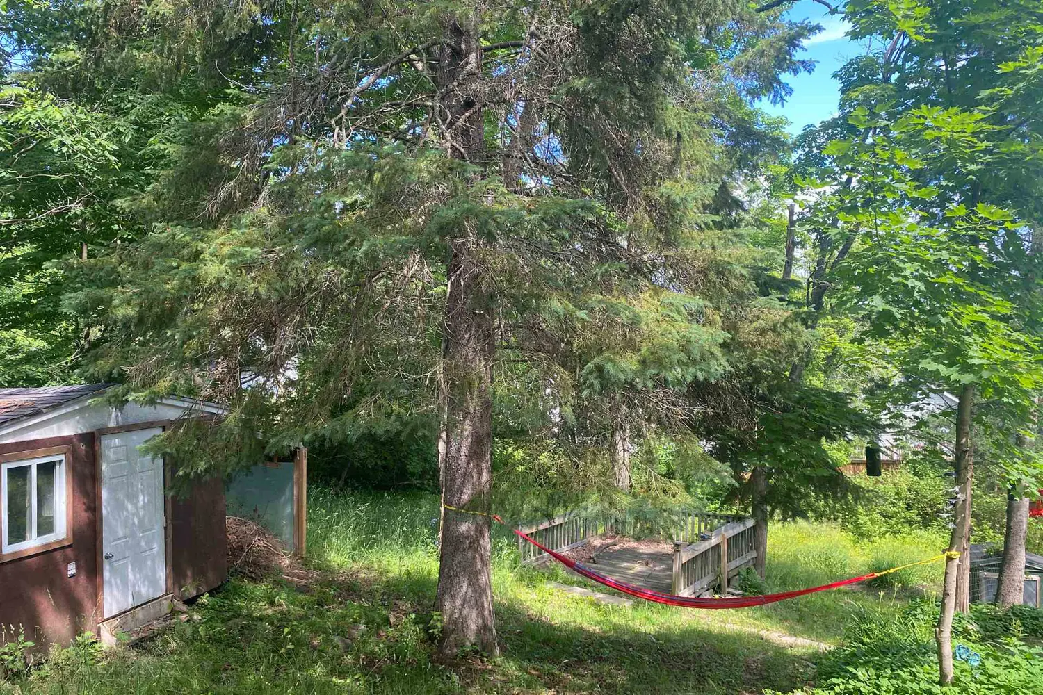 Additional image 8 of 16 Cora Street