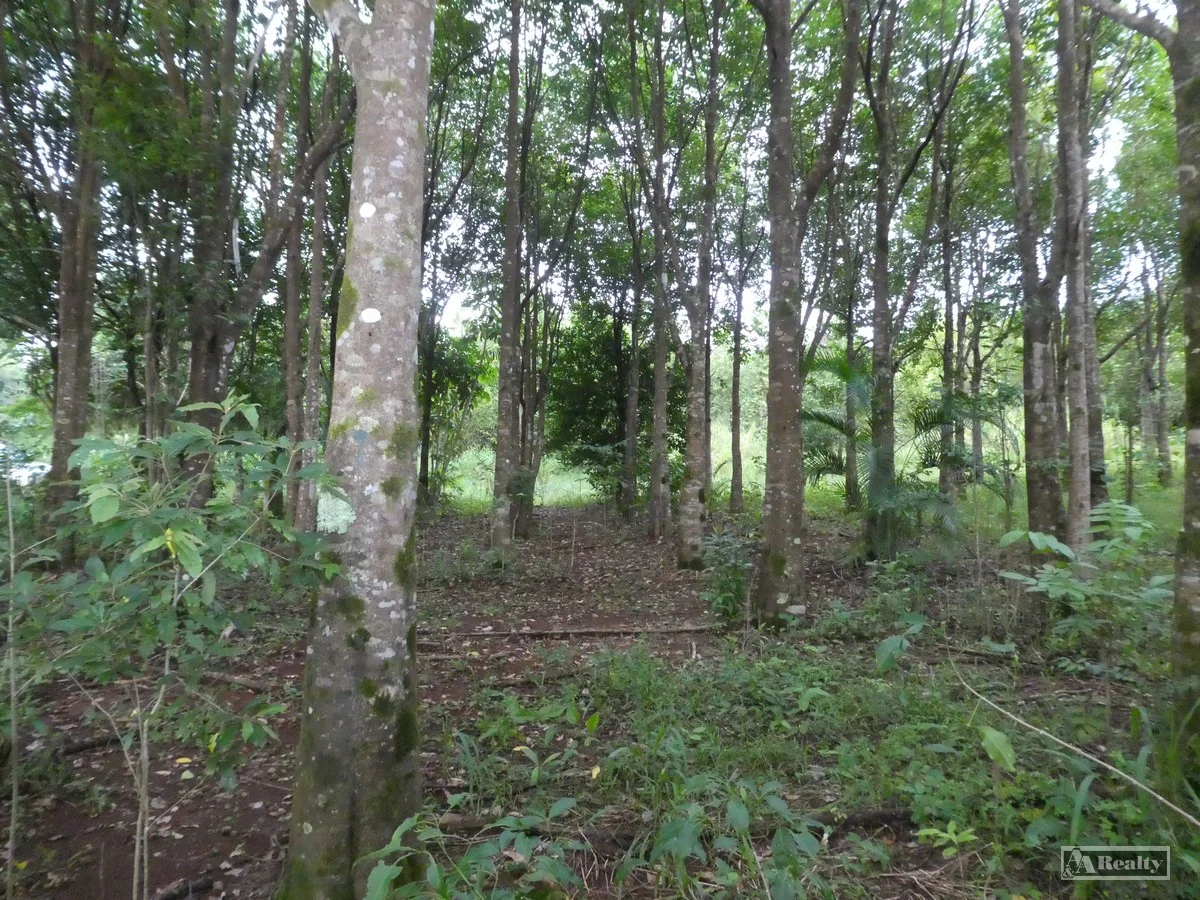 Additional image 7 of L15 Broccardo Road, Garradunga QLD 4860