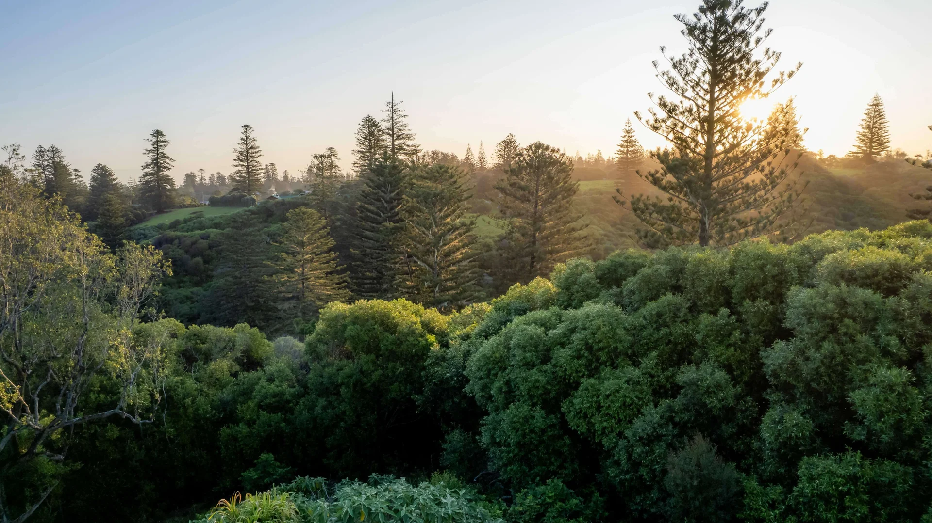 Additional image 4 of 77w6 Longridge Road, Norfolk Island NSW 2899