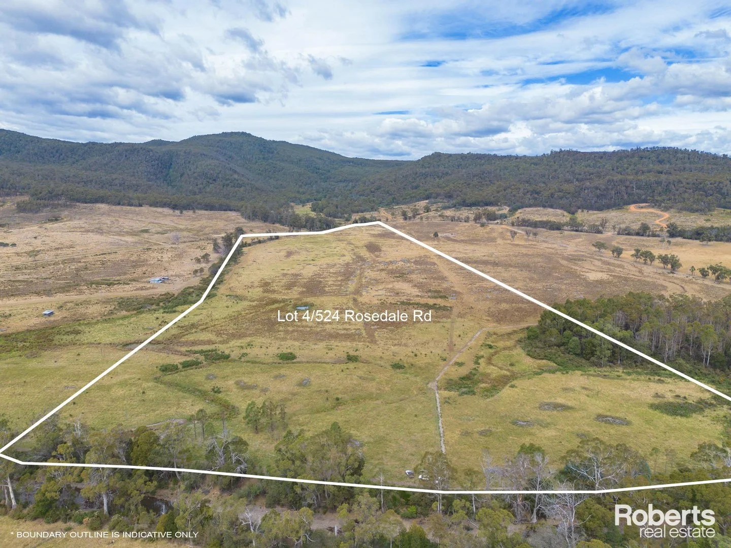 Lot 4, 11/524 Rosedale Road, Bicheno TAS 7215