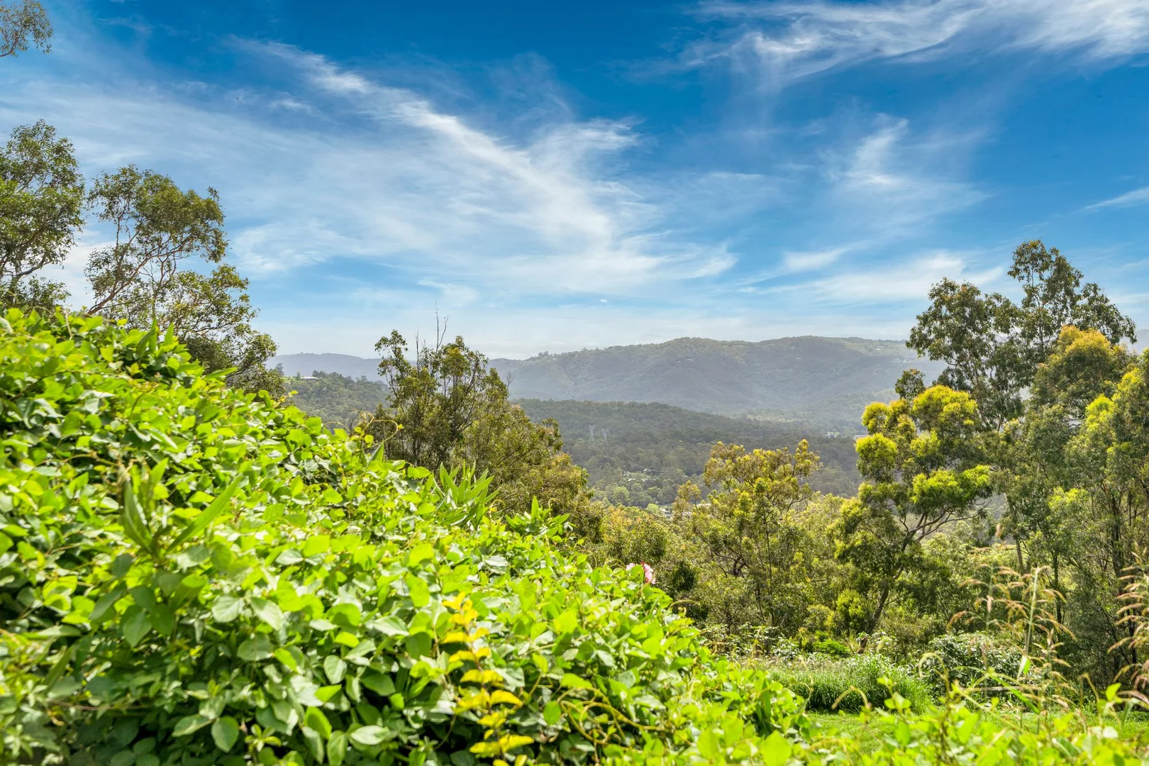 Additional image 13 of Gilston QLD 4211