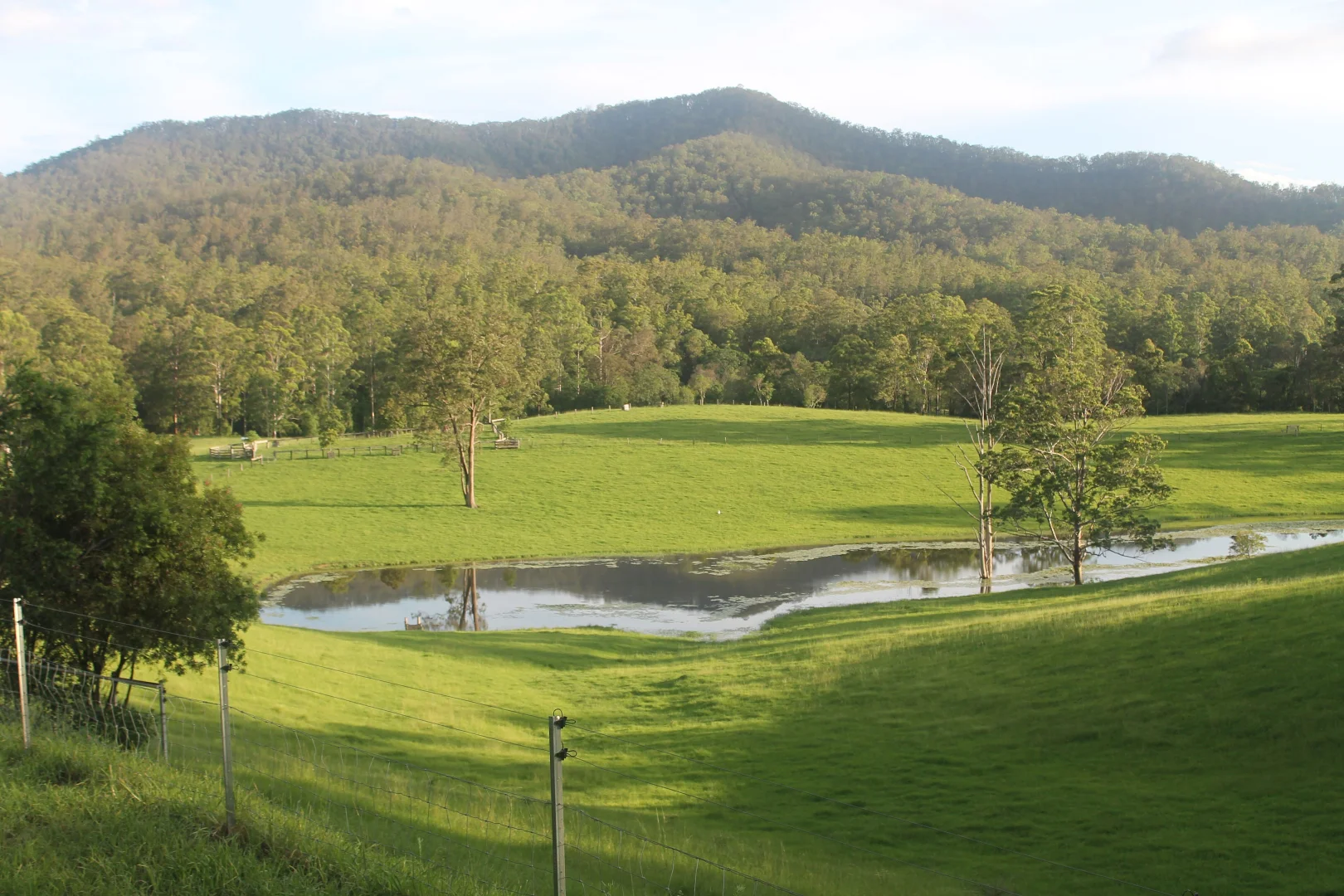 Additional image 10 of 71 SUNDOWNER ROAD, Bakers Creek NSW 2447