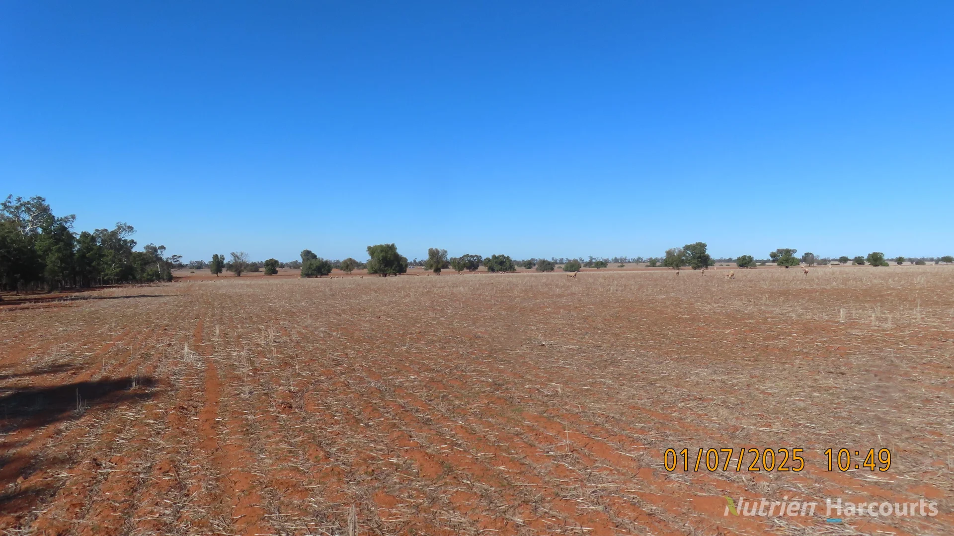 Additional image 18 of * KALLARA, 881 Kallara Road, Hermidale NSW 2831