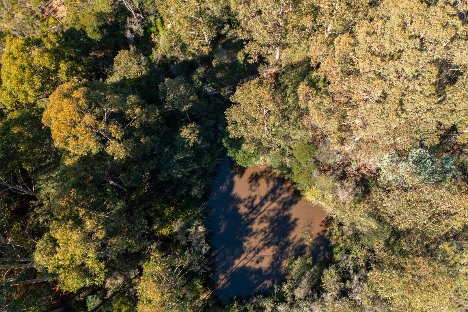 Additional image 12 of 287 Esperance Coast Road, Brooks Bay TAS 7116