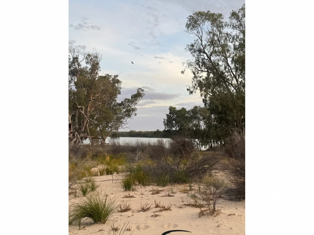 Additional image 11 of 28 River Reserve Road, Swan Reach SA 5354