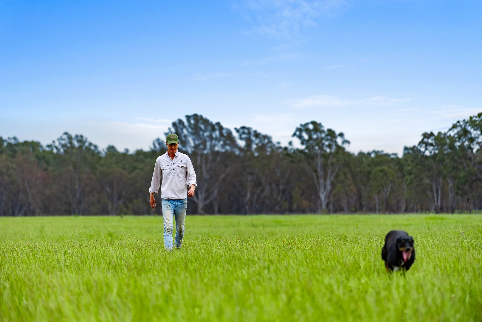 Additional image 11 of 431 Morningside Road, Wahring VIC 3608