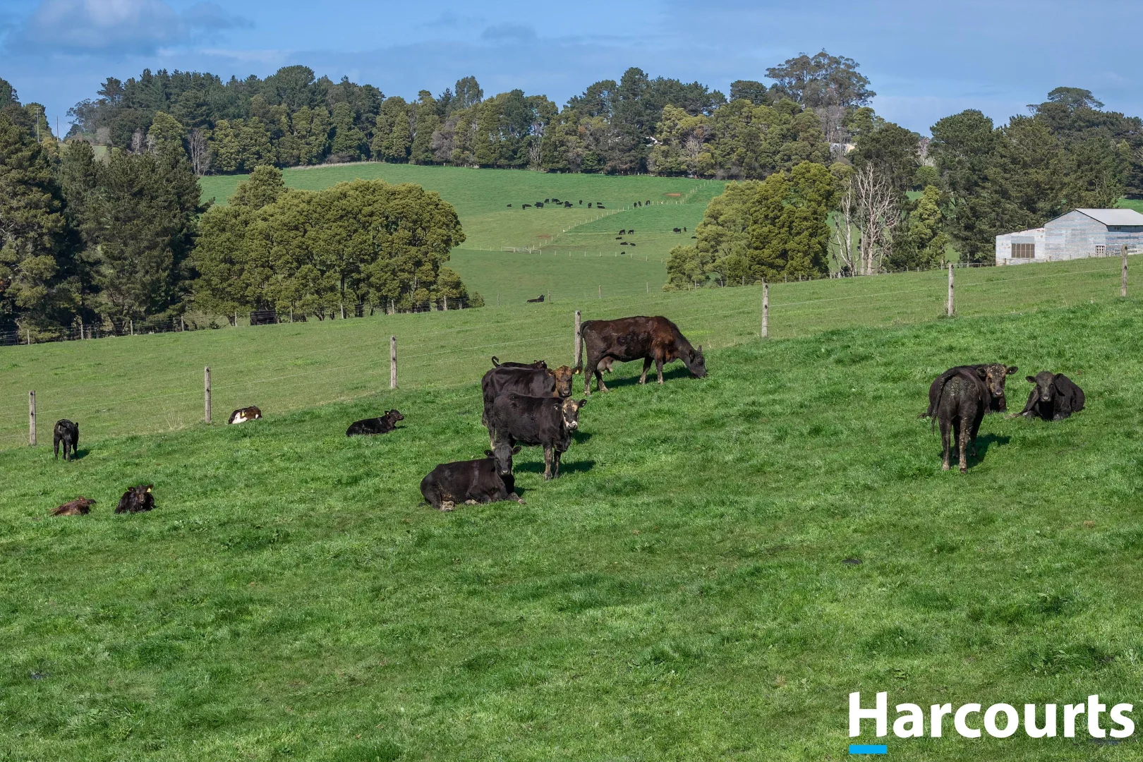 Additional image 19 of 65 Findlay Road, Mardan VIC 3953