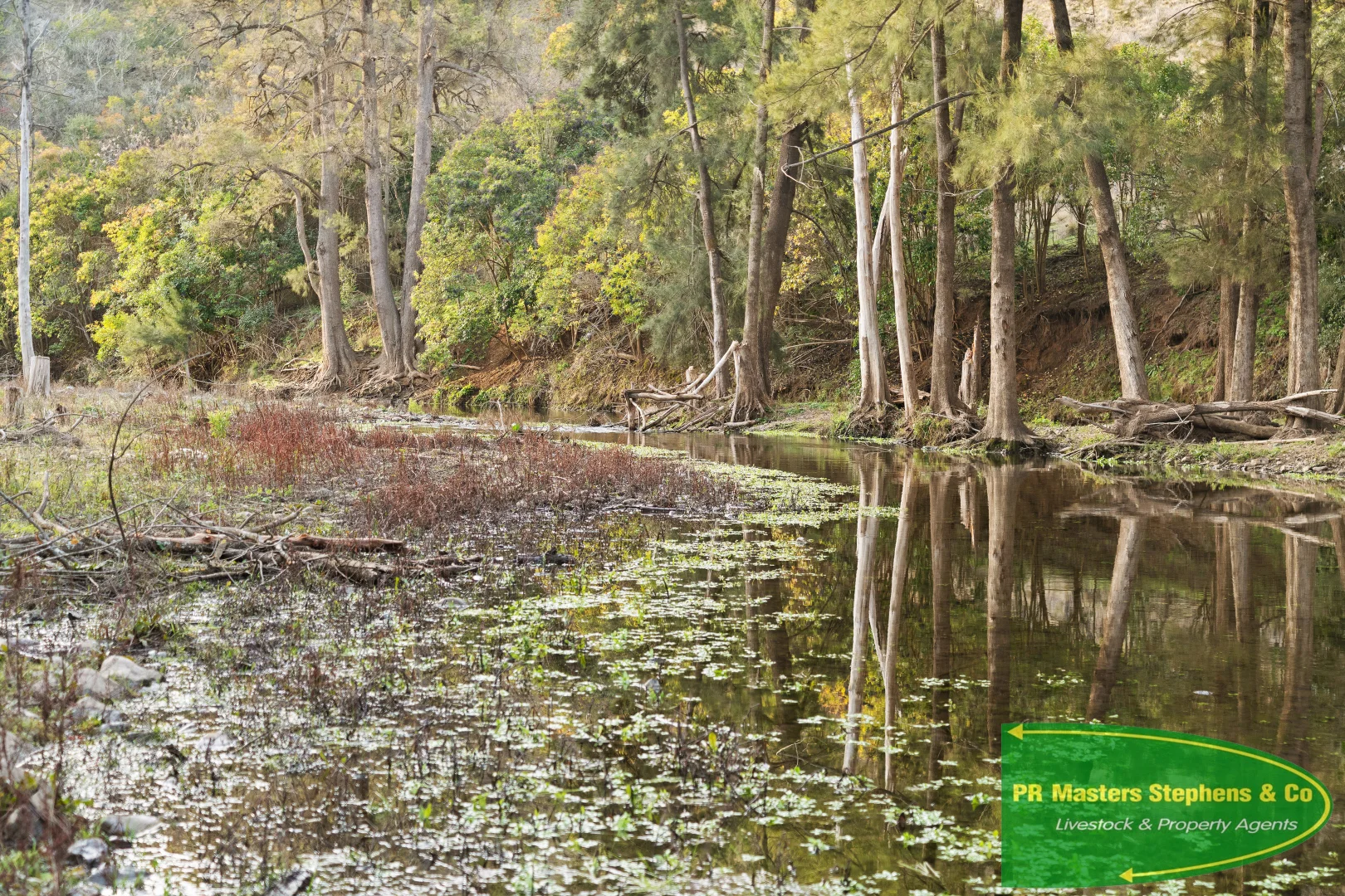 Additional image 12 of 133 Upper Turon Road, Sofala NSW 2795