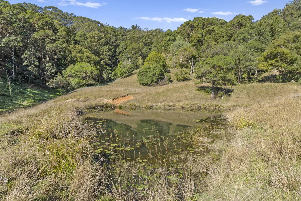 Additional image 2 of 536 Cudgera Creek Road, Cudgera Creek NSW 2484