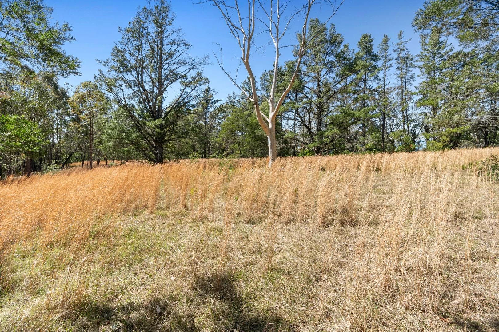 Additional image 30 of Kurrajong Heights NSW 2758