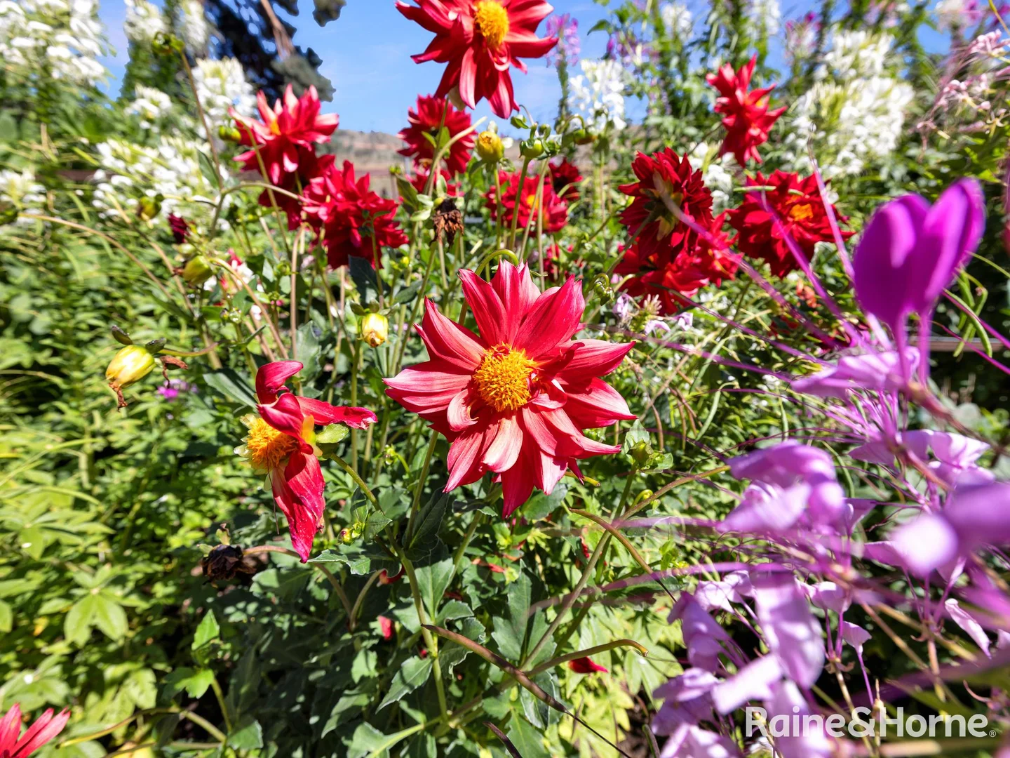 Additional image 29 of 720 Vale Road, Orton Park NSW 2795