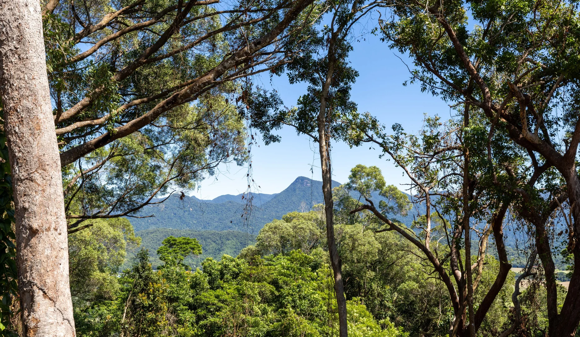 Additional image 36 of 93 Santarossa Road, Cooya Beach QLD 4873