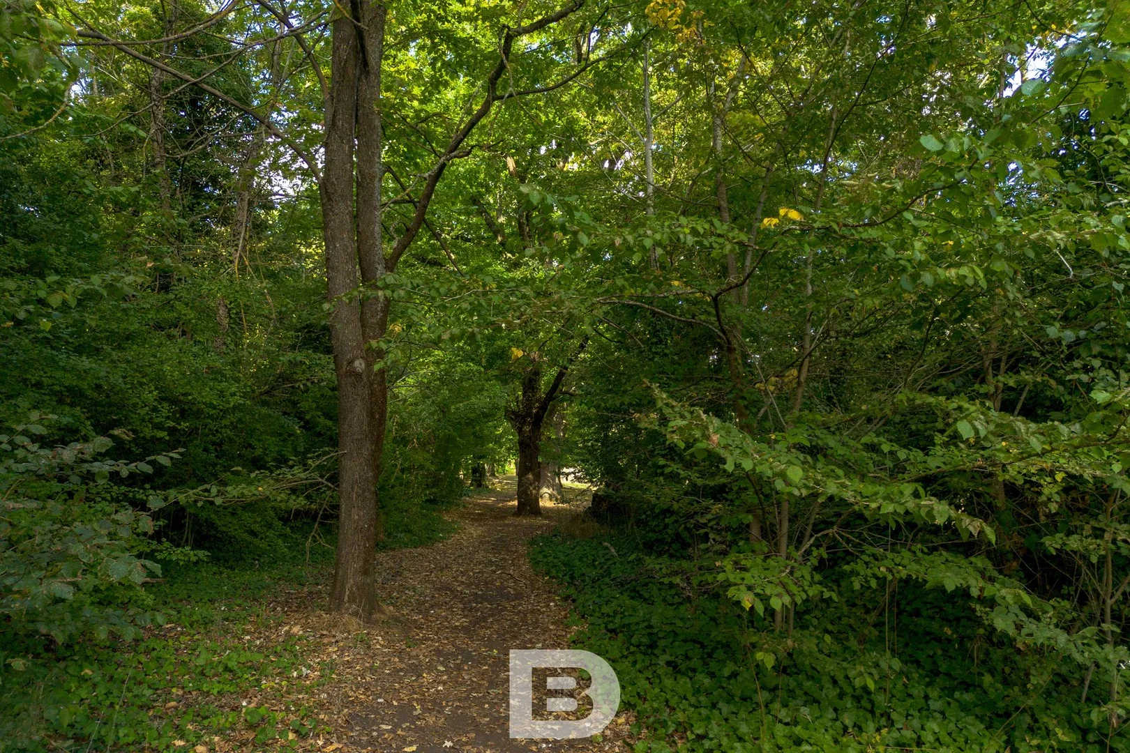 Additional image 3 of 42-44 Pohlman Street, Kyneton VIC 3444