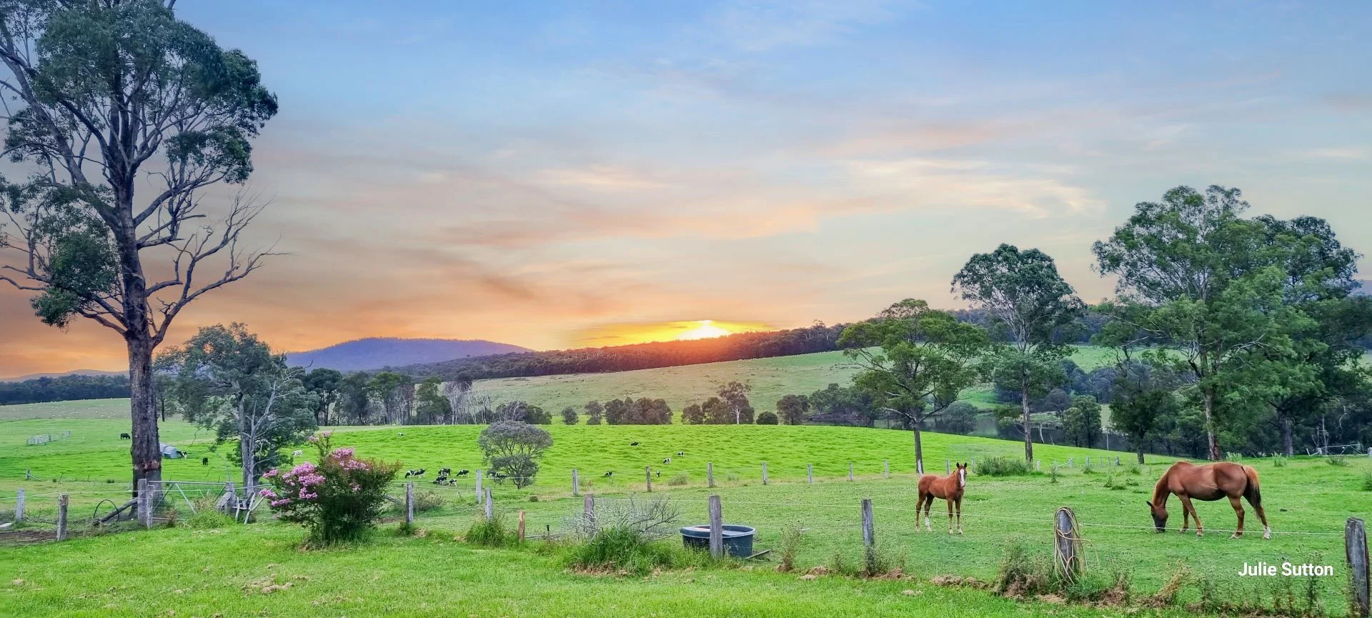 Additional image 14 of 151 Wattle Hill Road, Buchan South VIC 3885