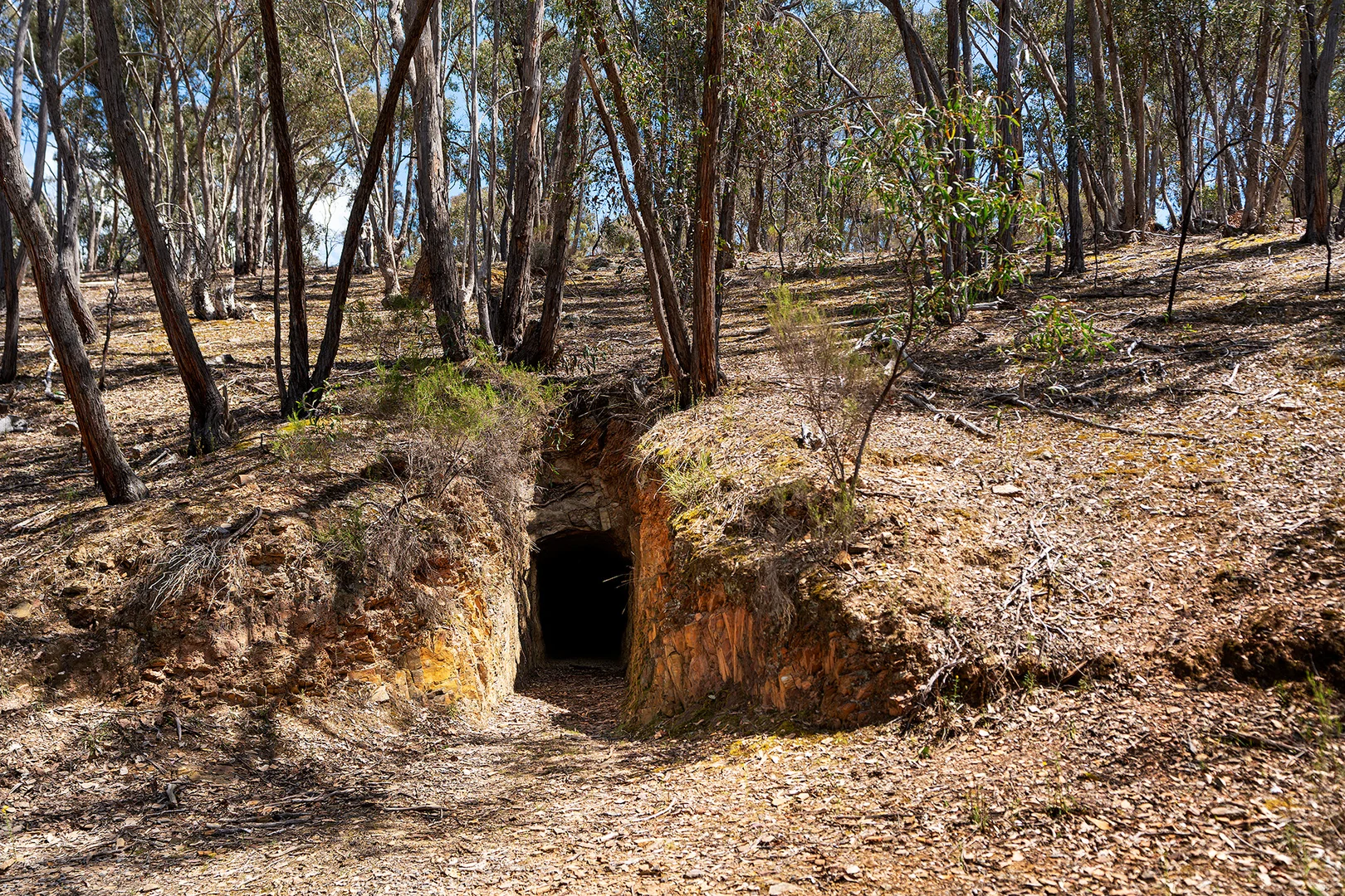 Additional image 18 of 119 Rabbages Road, Yapeen VIC 3451
