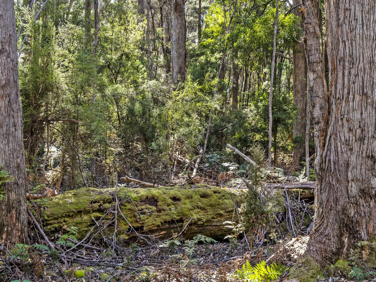 Additional image 32 of 312 Lookout Road, Port Arthur TAS 7182