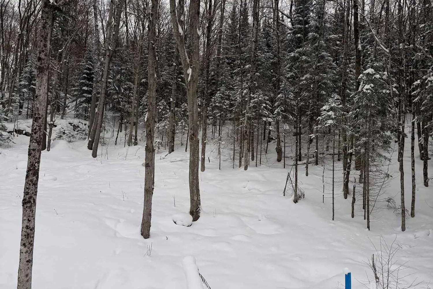 Additional image 2 of 23 St Andrews Circle