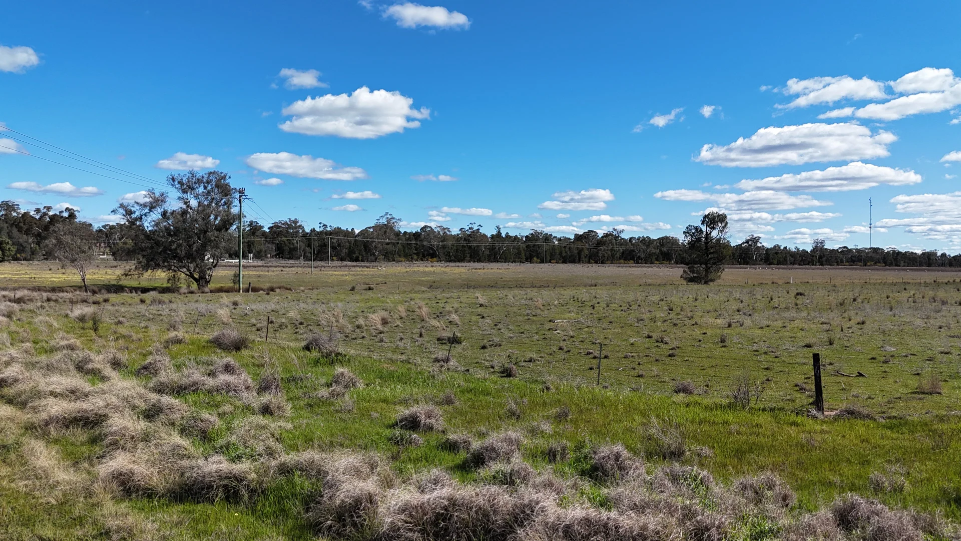 Additional image 56 of 3544 Henry Parkes Way, Bogan Gate NSW 2876