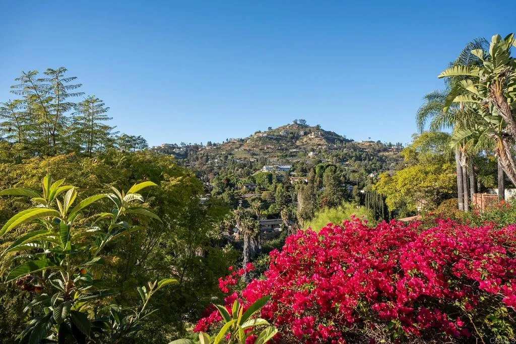 Additional image 66 of 9802 Lyncarol Dr, La Mesa, CA 91941