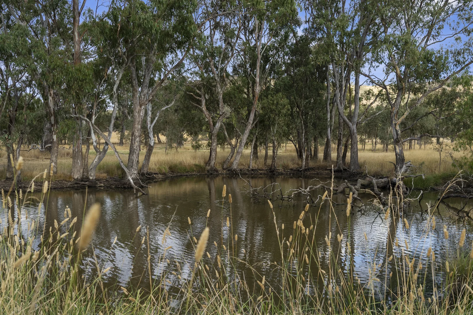Additional image 13 of 31 High Vista Court, Mansfield VIC 3722