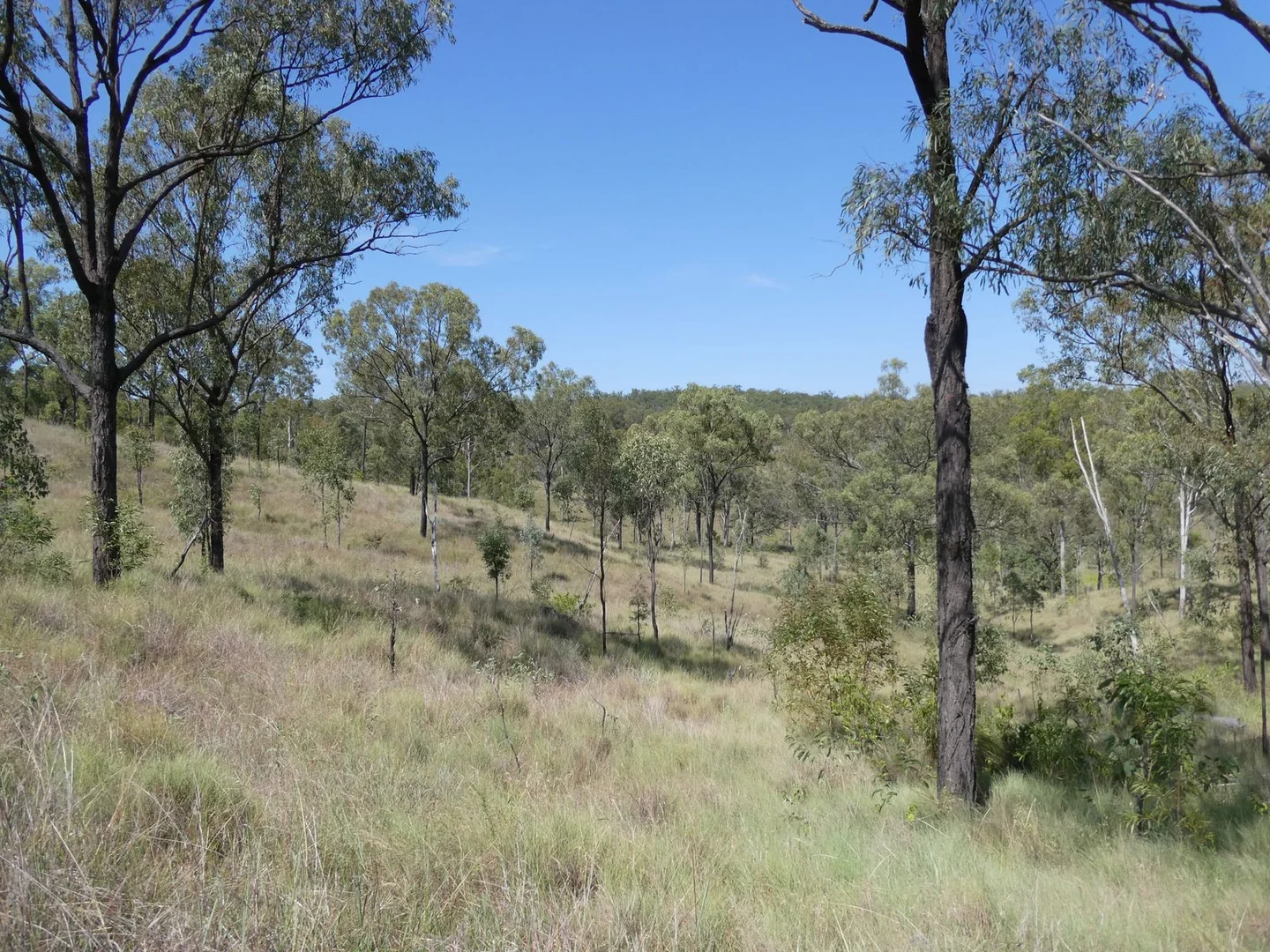 Additional image 8 of Lot 14 Monto Mount Perry Road, Mungy QLD 4671