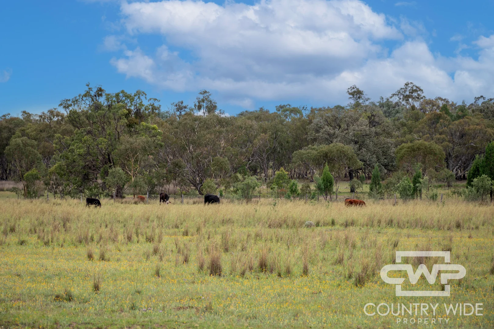 Additional image 18 of 1461 Atholwood Road, Bonshaw NSW 2361