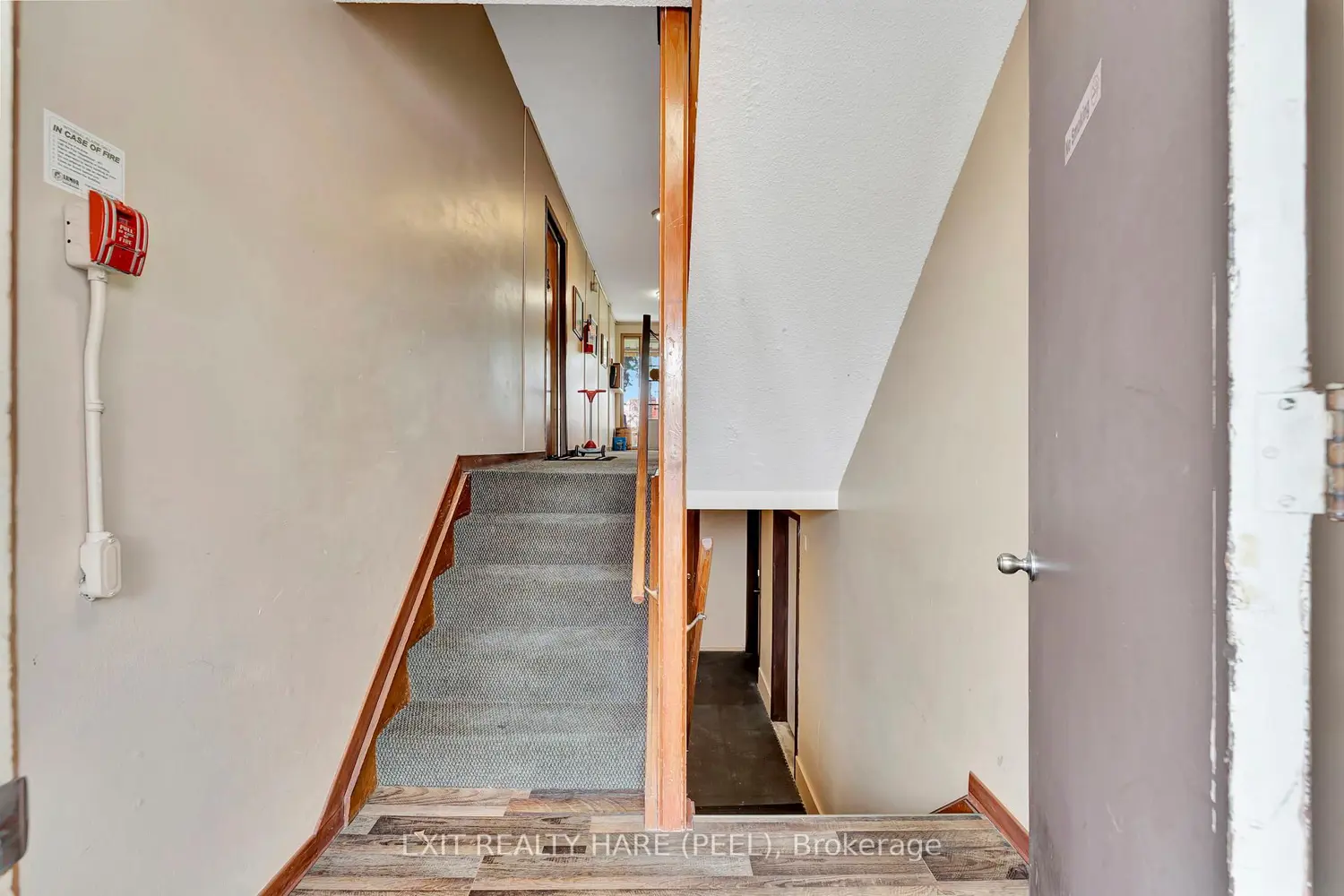 Additional image 16 of 52 Hampton Street