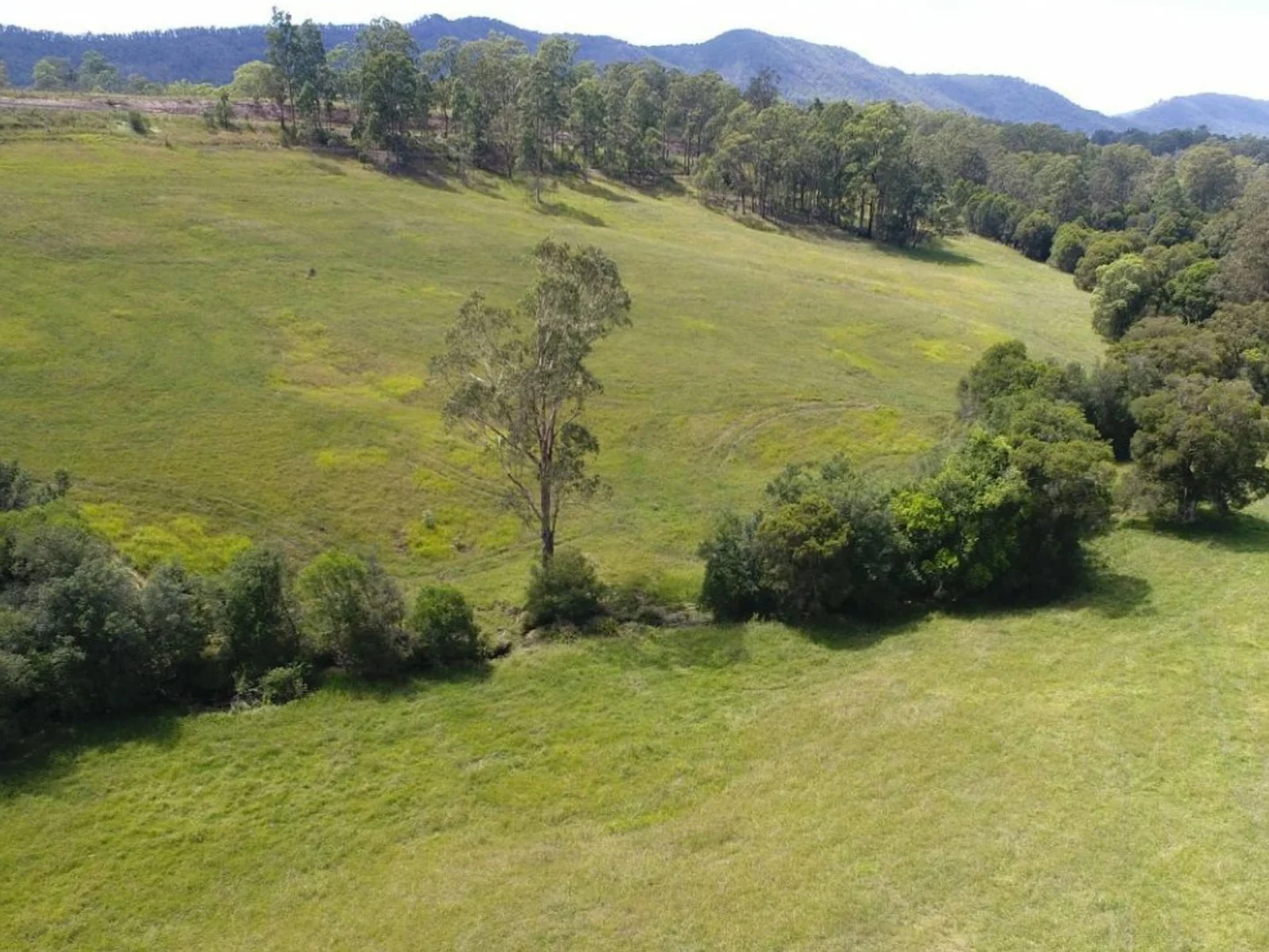 Additional image 13 of 2033 The Bucketts Way, Weismantels NSW 2415