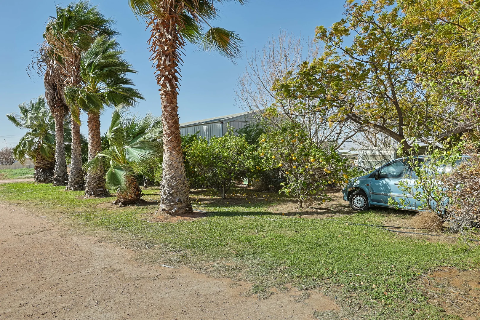 Additional image 4 of 636 Walnut Avenue, Mildura VIC 3500