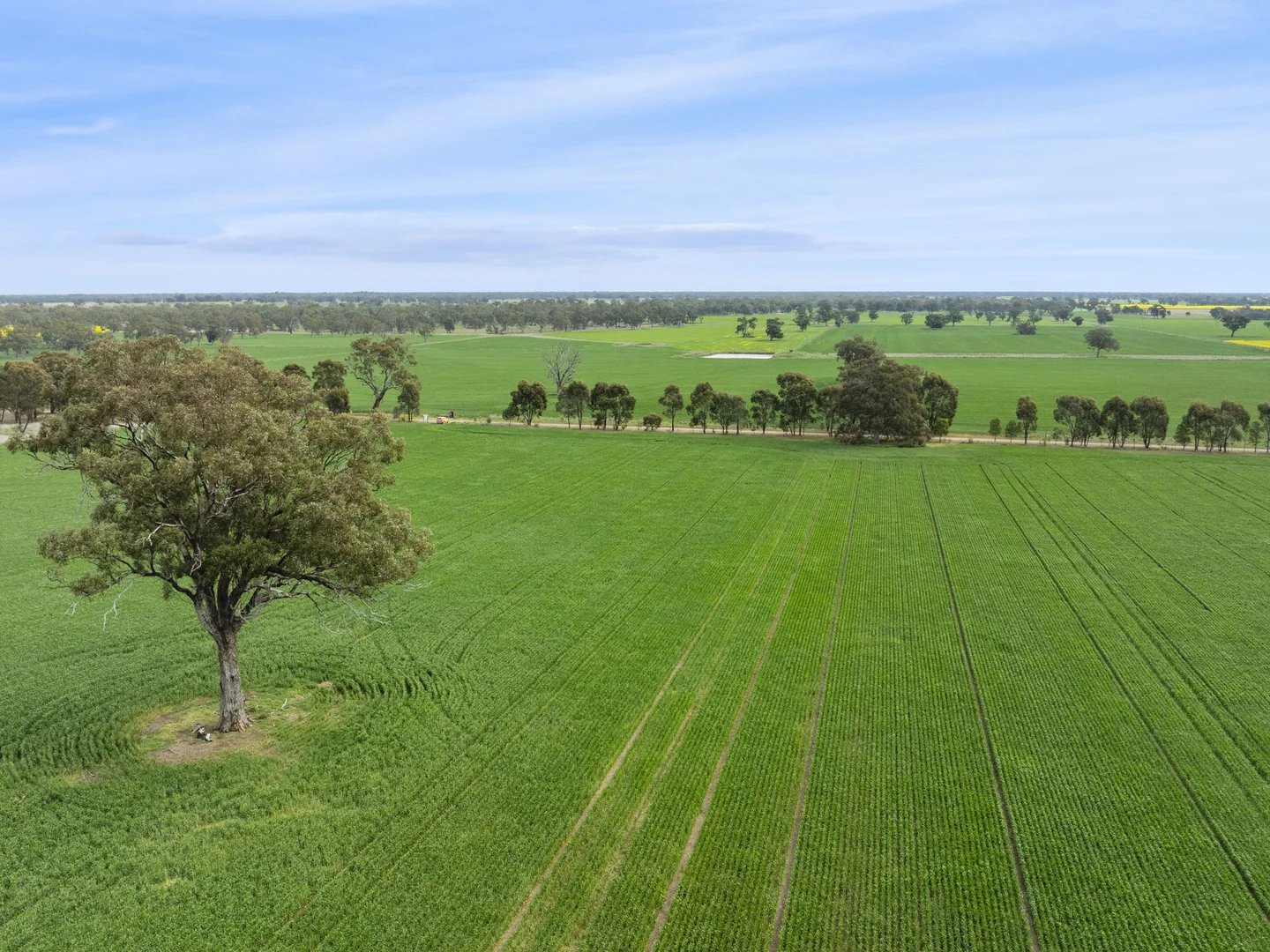 Additional image 2 of 800 Bridge Road, Caniambo VIC 3630