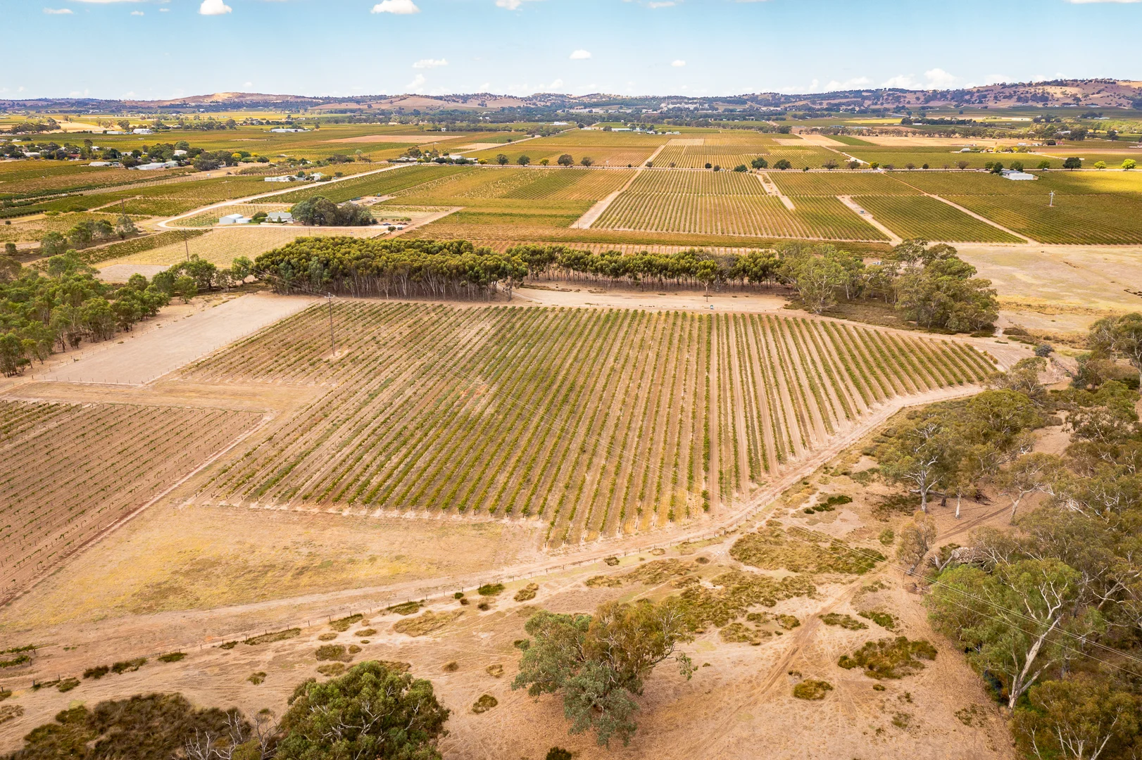 Additional image 4 of Lot 91 Nuraip Road, Nuriootpa SA 5355