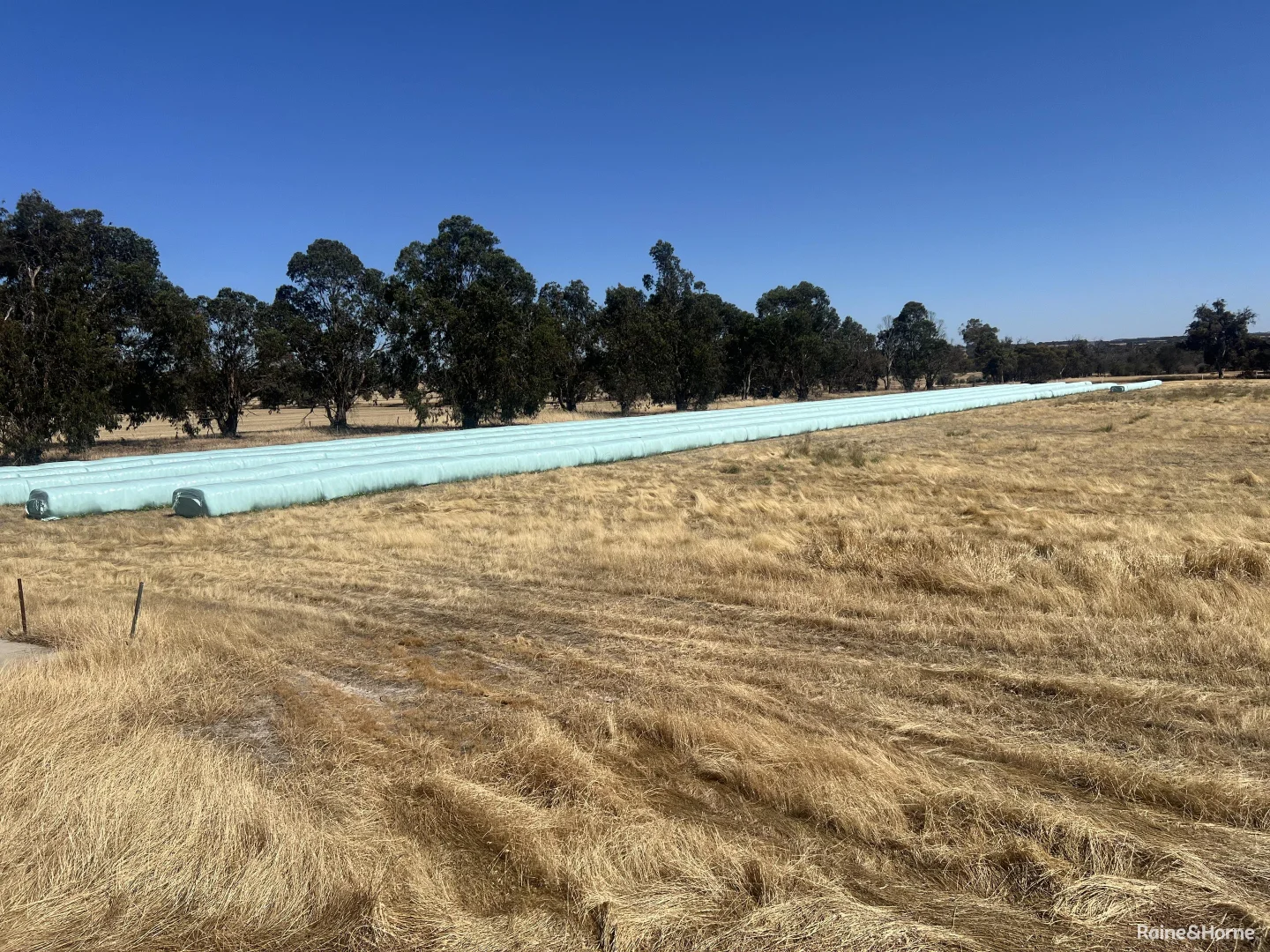 Additional image 18 of 124 Highbury East Road, Highbury WA 6313