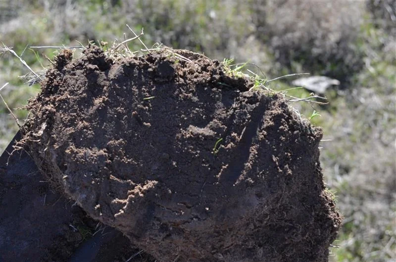 Additional image 7 of 260 Burns Munn Road, Edenhope VIC 3318