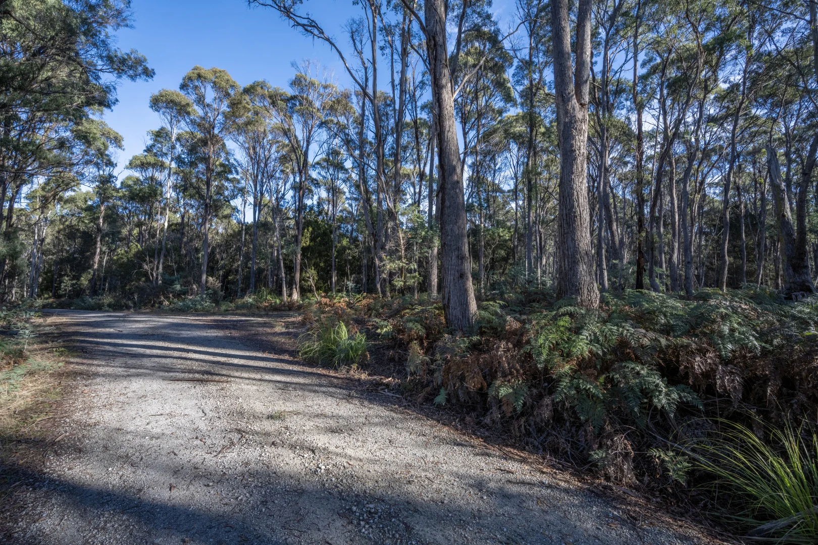 Additional image 12 of . Frankford Road, Harford TAS 7307