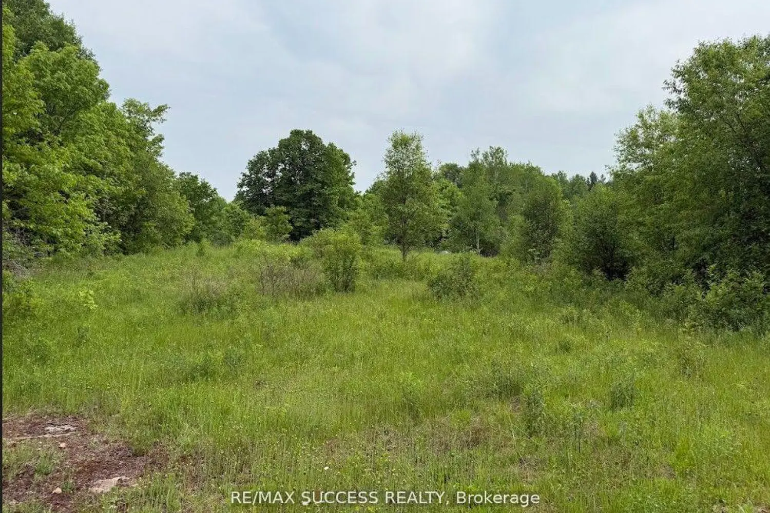 2248 Babcock Road photo 2