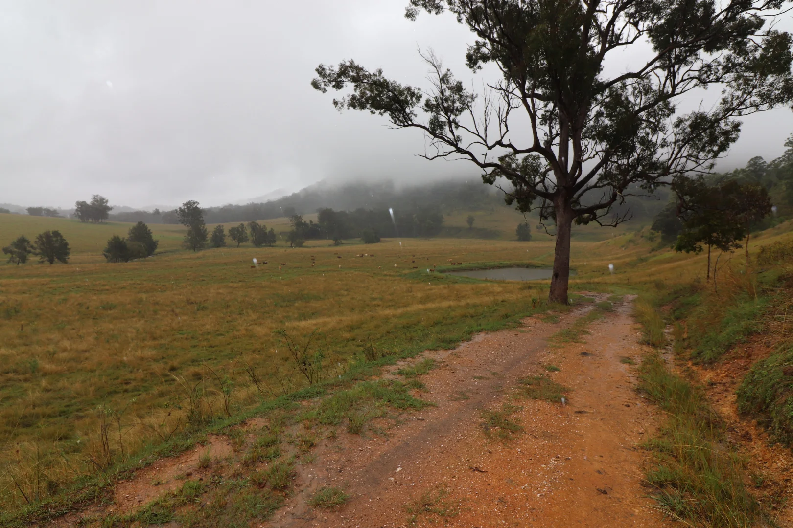 Additional image 23 of 95 Smiths Creek Road, Lower Creek NSW 2440