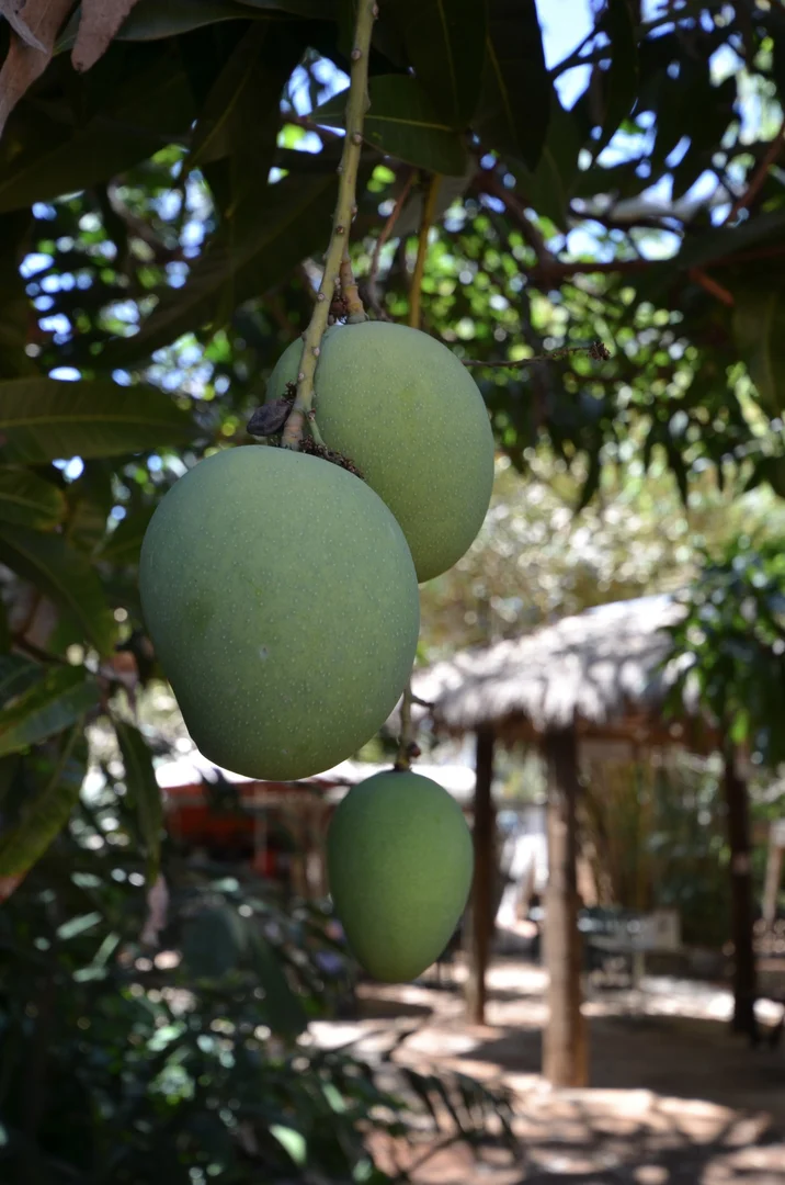 Additional image 12 of Broome WA 6725