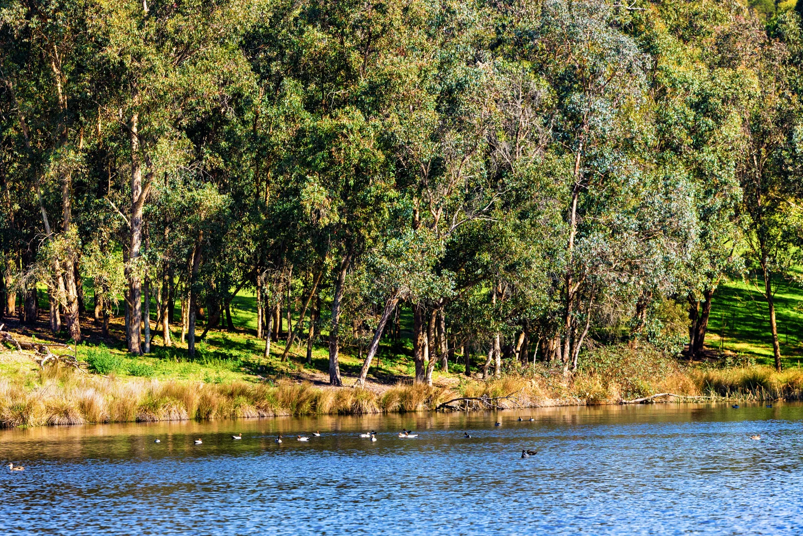 Additional image 42 of 151 Wattle Hill Road, Buchan South VIC 3885